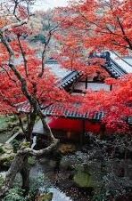 德州扑克24 读牌-德州扑克24点读牌技巧，掌握牌局，洞悉对手