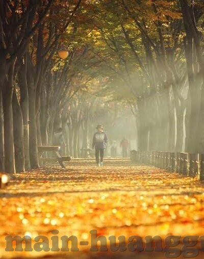 足球比分截图预测-足球比分截图预测，技术革新下的赛事前瞻新维度